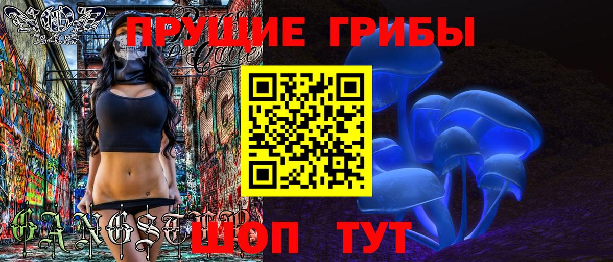 Галлюциногенные грибы GOLDEN TEACHER Зима