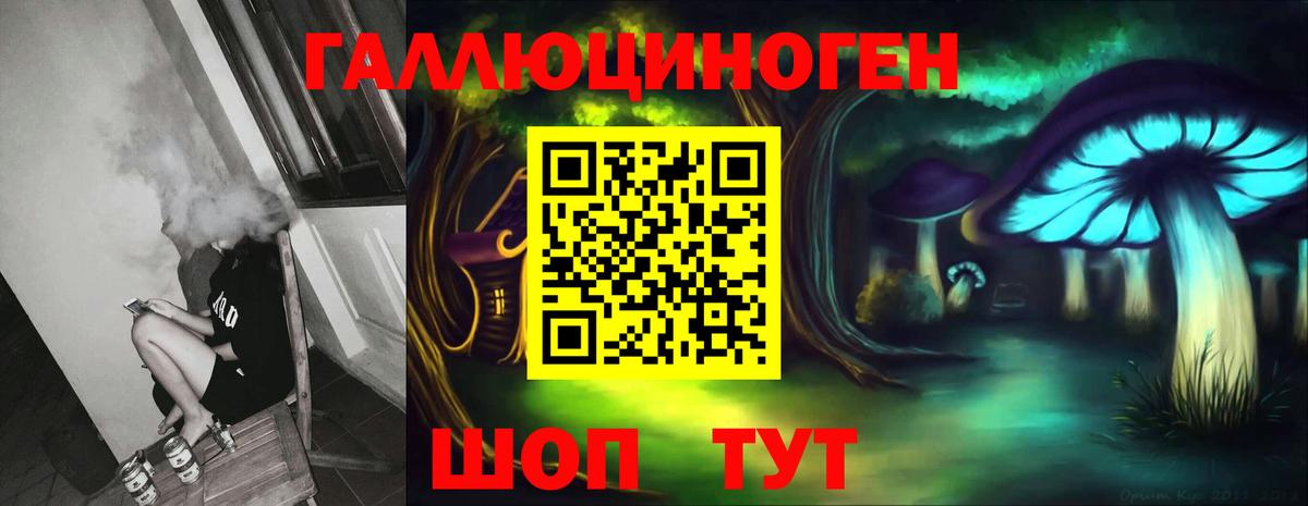 Псилоцибиновые грибы Psilocybine cubensis  Вход с VPN  Зима  Галлюциногенные грибы GOLDEN TEACHER 
