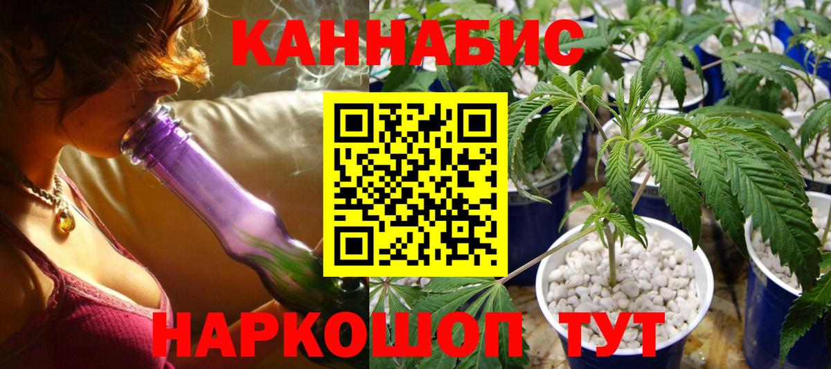 Конопля сатива Зима